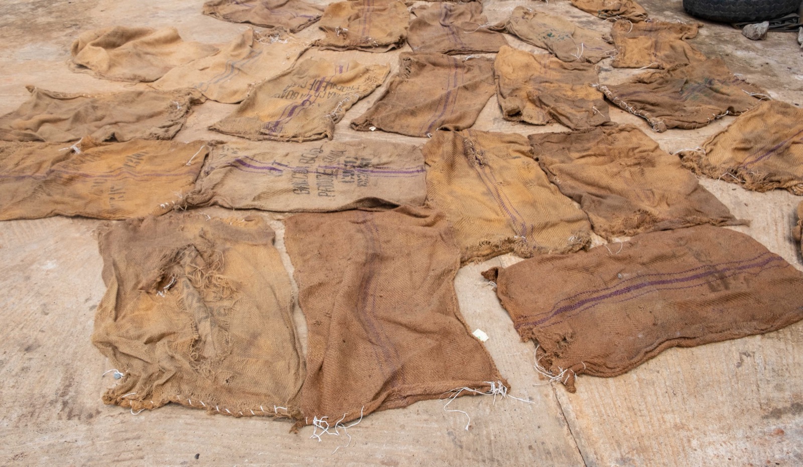 Rolls of jute hessian cloth and stacked jute sacking bags at a West Bengal mill before export to the USA and Europe